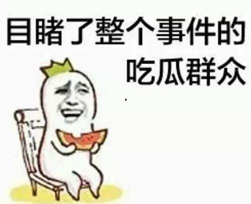 吃瓜群众飞天喵,揭秘吃瓜群众的奇幻之旅