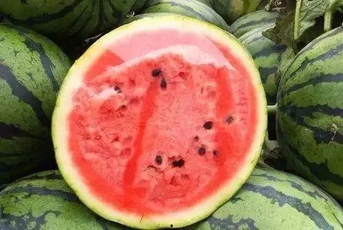 吃瓜的时候瓜掉了,吃瓜时刻的意外瞬间